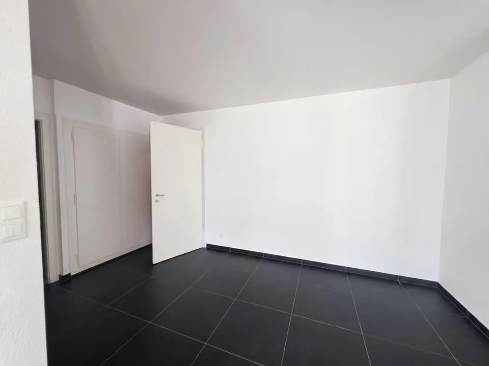 Magnifico appartamento di 2,5 locali completamente ristrutturato con balcone