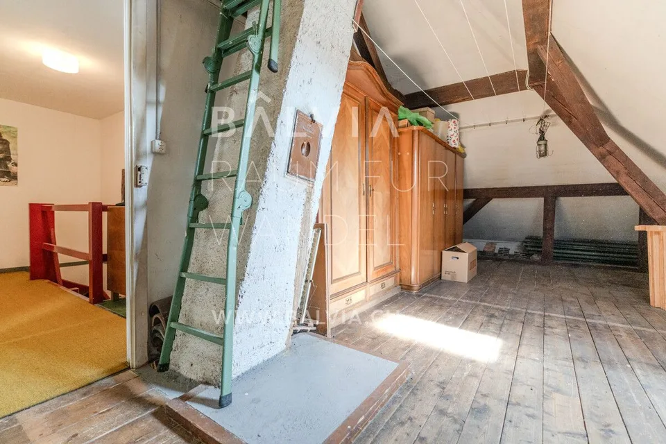 Une maison à soi à Bâle : jardin, rendement et beaucoup de liberté – photo 7 sur 8
