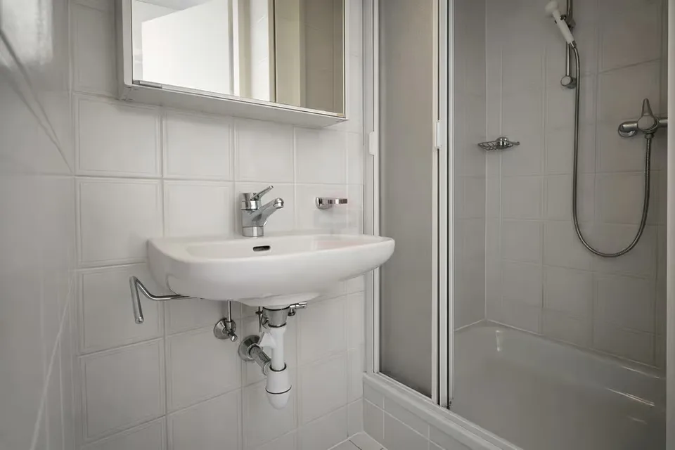 Exceptional Apartment / Nations District, Geneva – photo 11 of 22