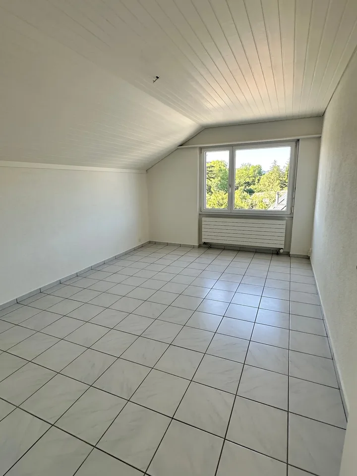 Grosszügige 3.5 Zimmer Dachgeschosswohnung