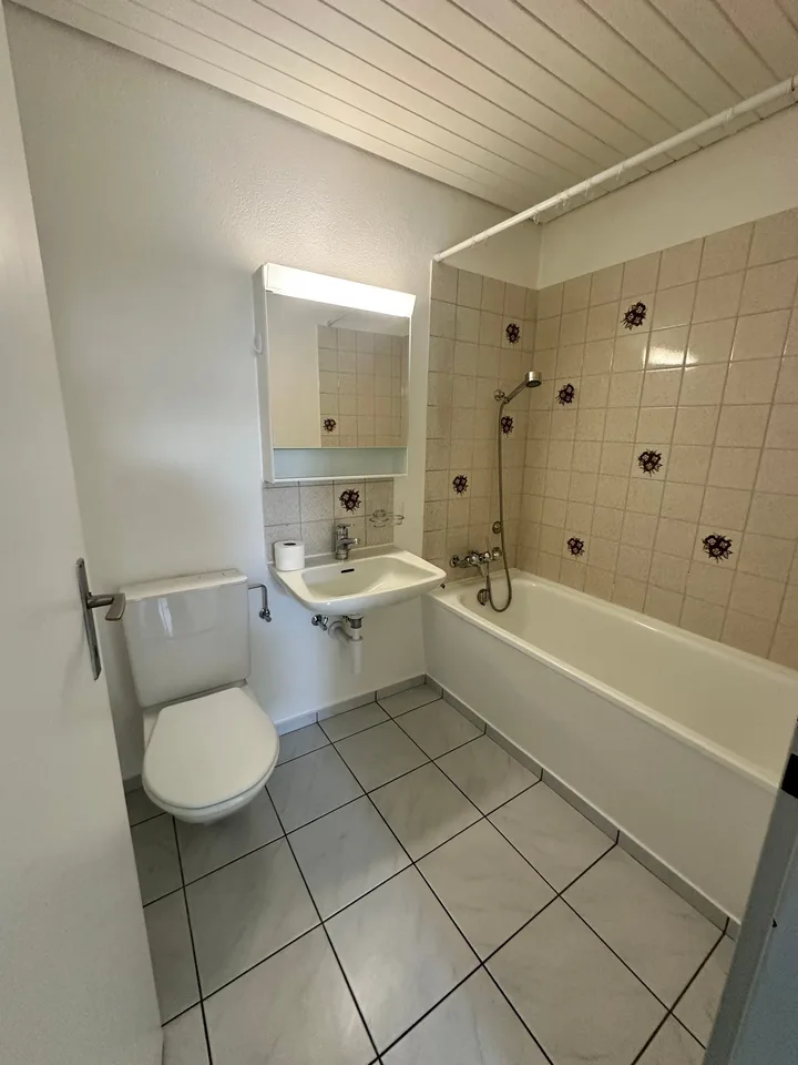 Grosszügige 3.5 Zimmer Dachgeschosswohnung
