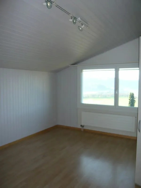 Sunny 2-room attic apartment with a view