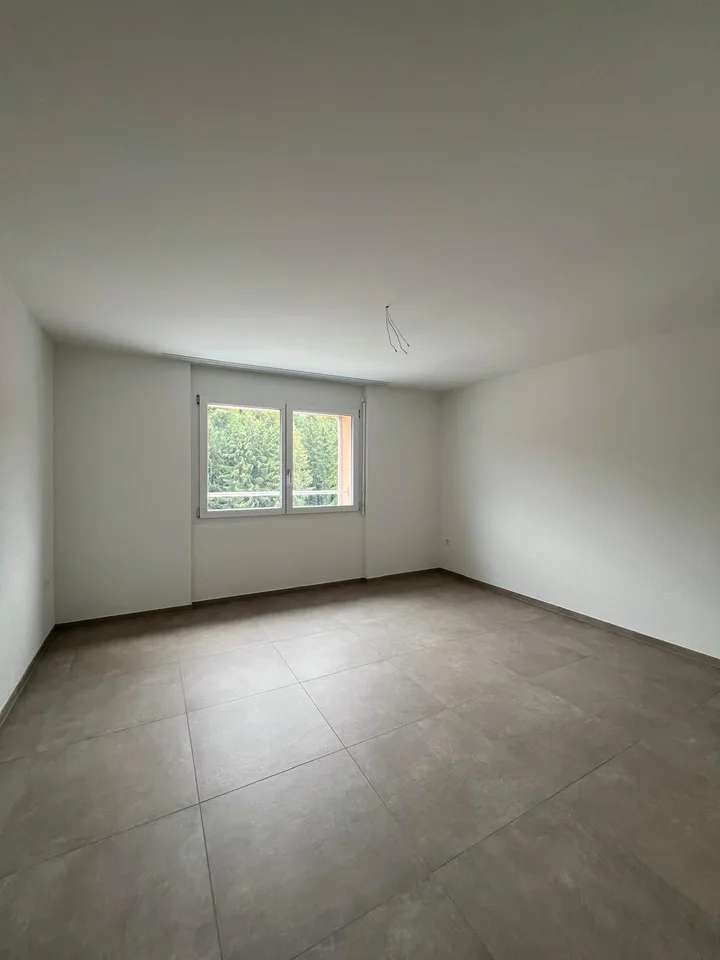 Disponible immédiatement !!! - appartement 3 pièces fraîchement rénové avec balcon