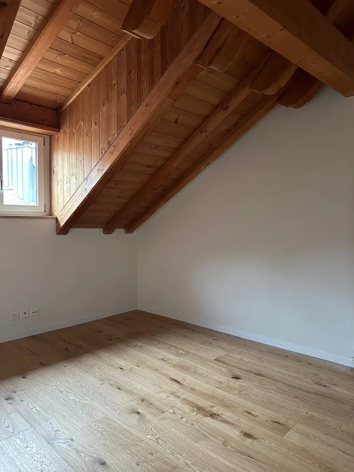 Penthouse in the Old Town