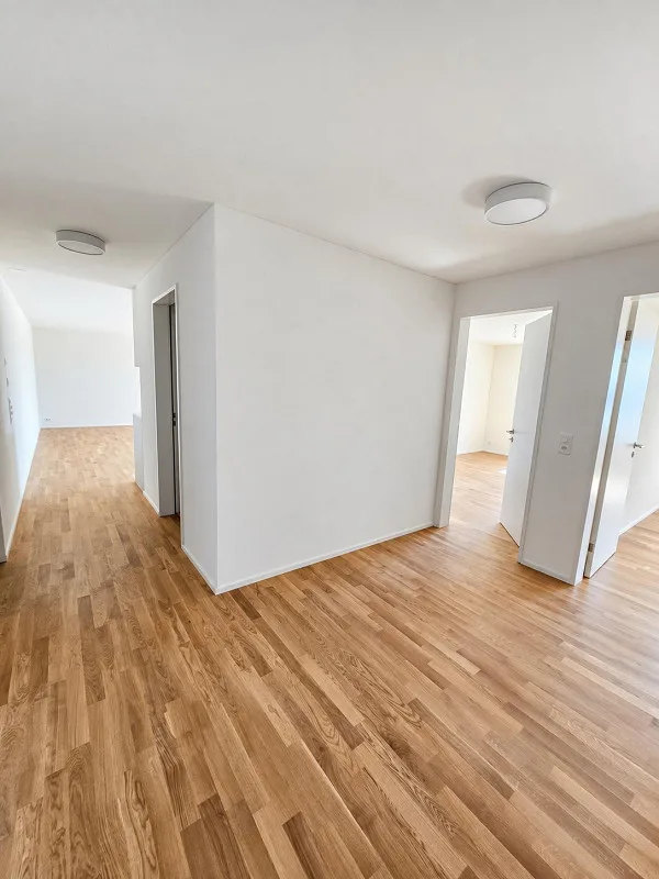 Ultimi appartamenti nello sviluppo Tilia Boldern, Männedorf