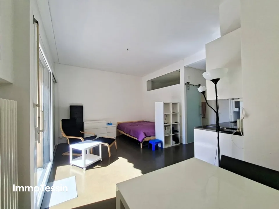 Prezzo Top & Seconda Casa: Appartamento per Vacanze Ristrutturato in Posizione Ideale con Vista Lago e Vicino alla Promenade di Locarno – foto 8 di 13