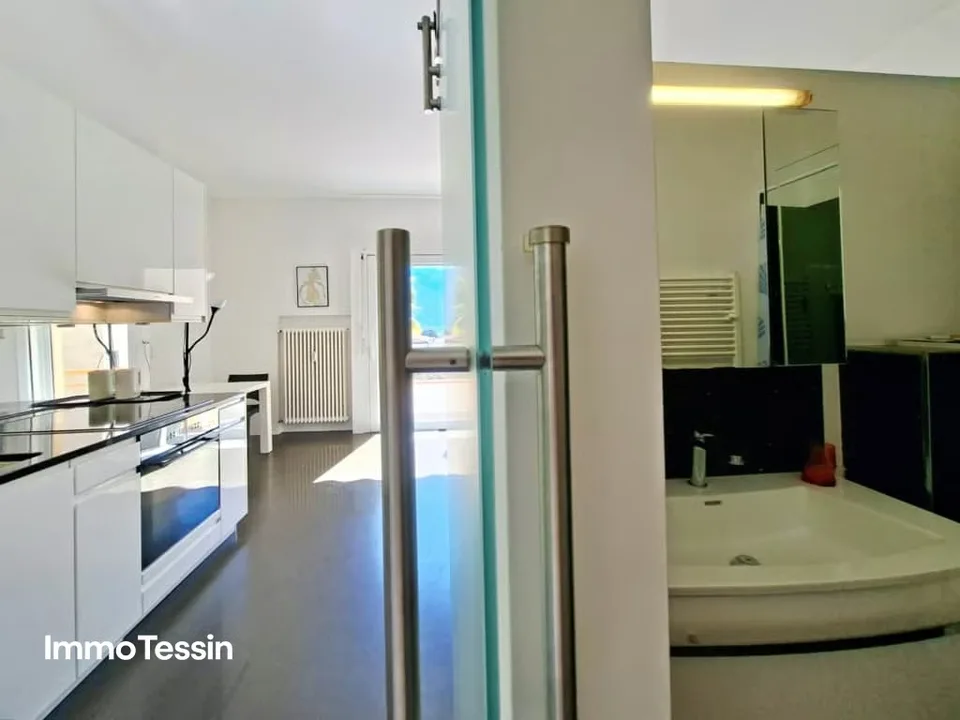 Prezzo Top & Seconda Casa: Appartamento per Vacanze Ristrutturato in Posizione Ideale con Vista Lago e Vicino alla Promenade di Locarno – foto 13 di 13
