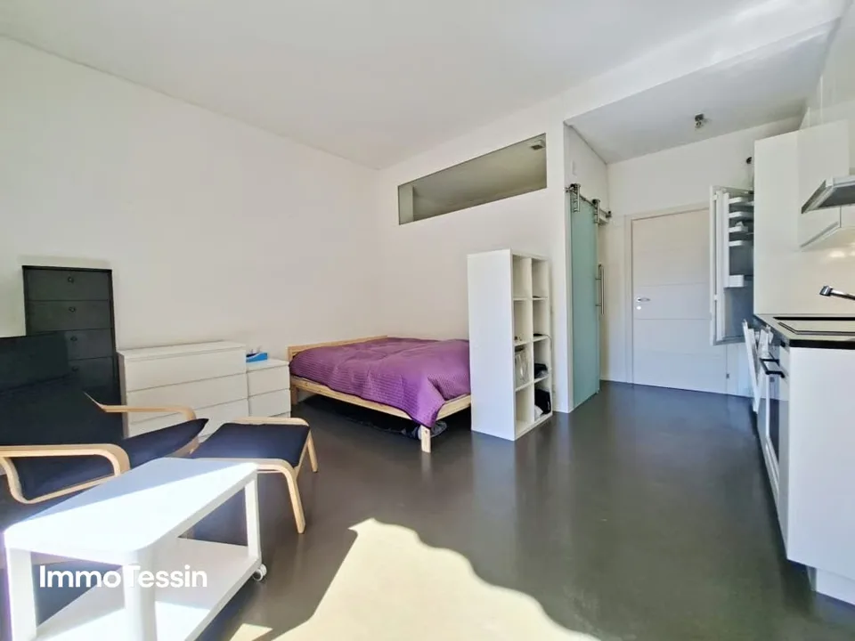 Prezzo Top & Seconda Casa: Appartamento per Vacanze Ristrutturato in Posizione Ideale con Vista Lago e Vicino alla Promenade di Locarno – foto 9 di 13
