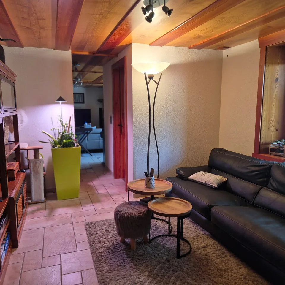 Proprietà unica con abitazione atipica - Evolène – foto 6 di 12