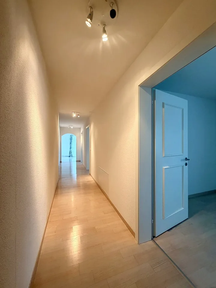Appartement attrayant de 4,5 pièces à Uetikon am See