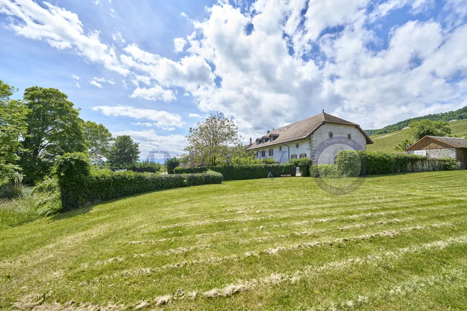 HOCHWERTIGES DUPLEX MIT SCHÖNEM VOLUMEN