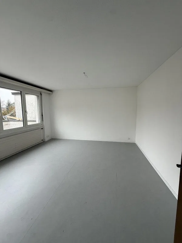 Appartamento spazioso a est della città - FRESCAMENTE RISTRUTTURATO – foto 20 di 26