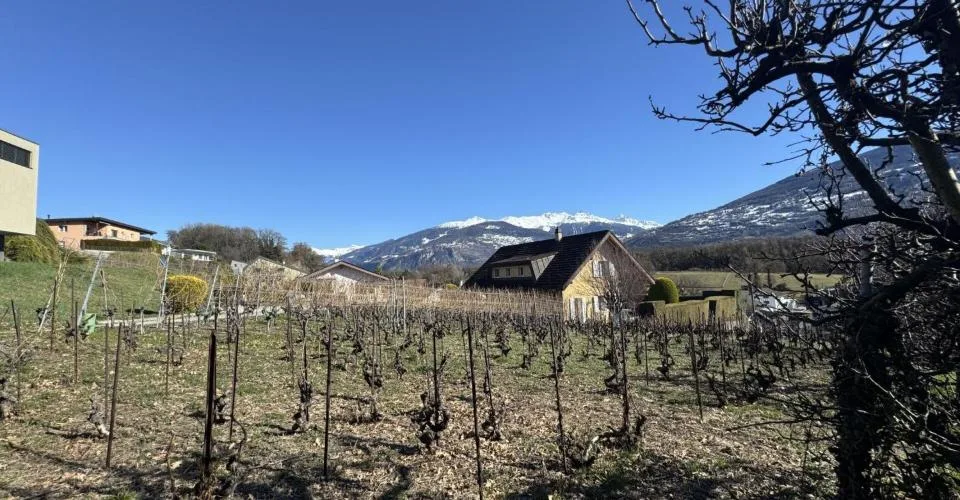 Villa Diolly – foto 8 di 11