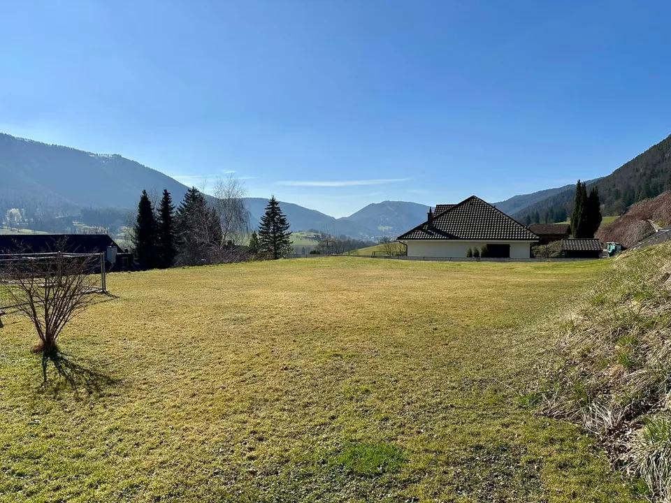 Baugrundstück – Foto 5 von 6