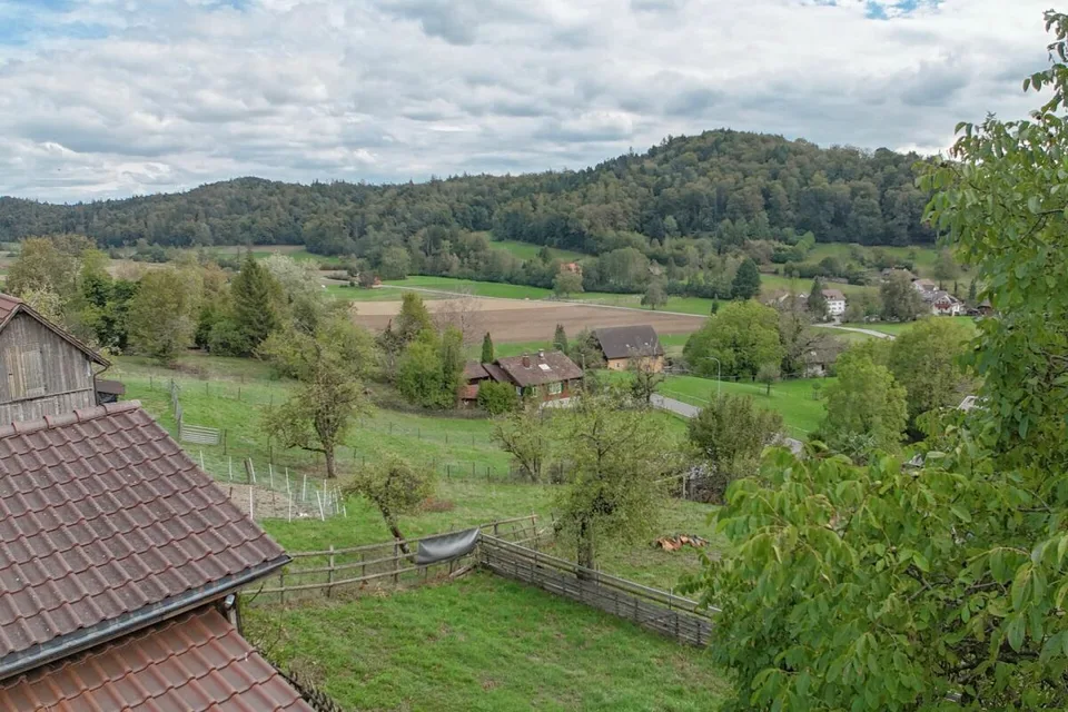 RESERVED - Two-family house with stable and agricultural land in Wettingen – photo 13 of 13