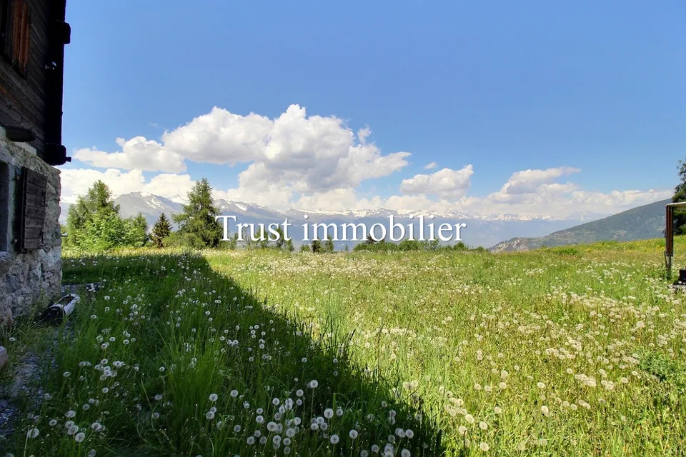6009.Chalet / Schloss vollständig renoviert. Les Mayens-de-Sion – Foto 2 von 25