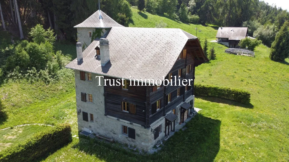 6009.Chalet / Schloss vollständig renoviert. Les Mayens-de-Sion – Foto 11 von 25