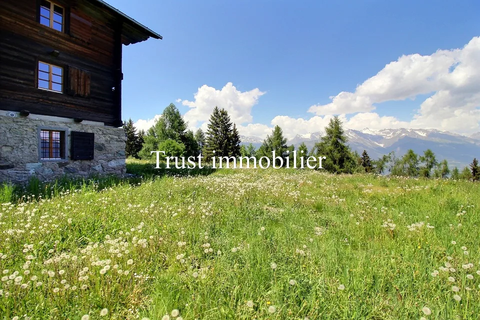 6009.Chalet / Schloss vollständig renoviert. Les Mayens-de-Sion – Foto 16 von 25