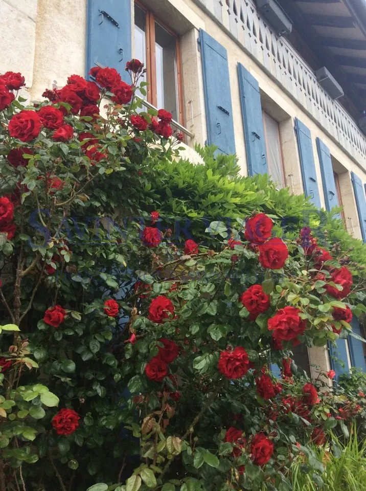 Fontaines-sur-Grandson, Magnificent Village House - Term Sale – photo 6 of 13