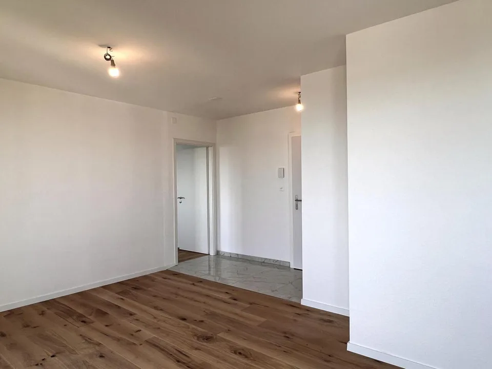 Vollständig renovierte Wohnung mit Blick auf den See und die Alpen – Foto 7 von 7