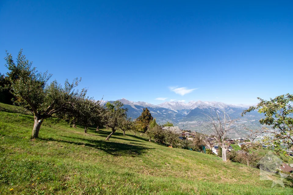 Superbo lotto di 2'978 m² da costruire a 5 minuti dalle piste – foto 2 di 5