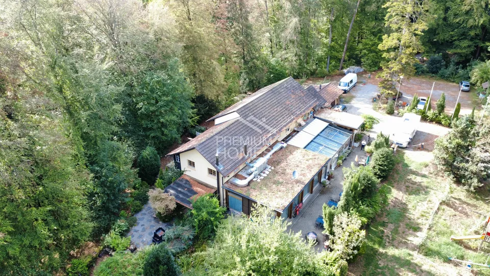 Votre propre oasis dans la forêt - un domaine plein de possibilités – photo 15 sur 24