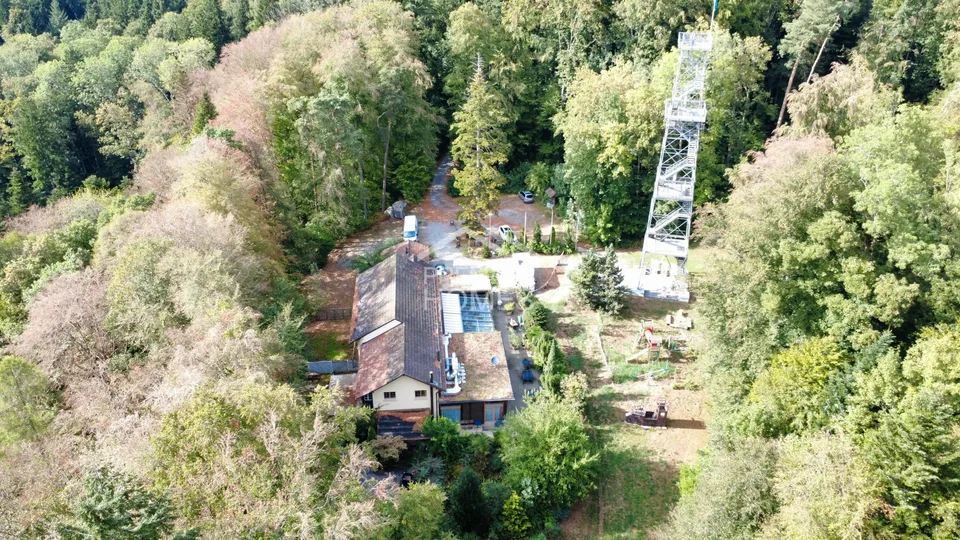Votre propre oasis dans la forêt - un domaine plein de possibilités – photo 16 sur 24