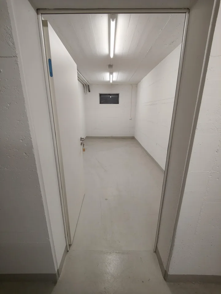 14.8m2 Lagerraum Liestal - Rufsteinweg 4 – Foto 3 von 4