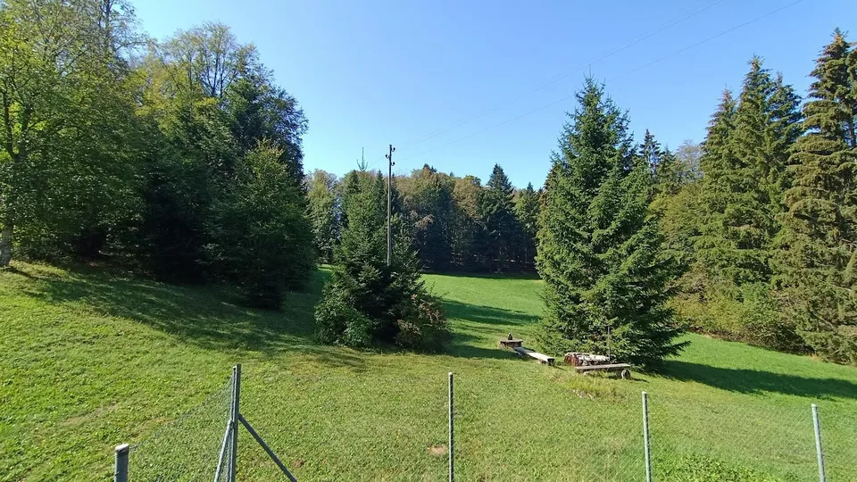 Chalet de 4,5 pièces – Un havre de paix aux portes de Bienne – photo 4 sur 22