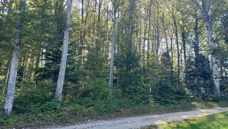 Chalet de 4,5 pièces – Un havre de paix aux portes de Bienne – photo 2 sur 22