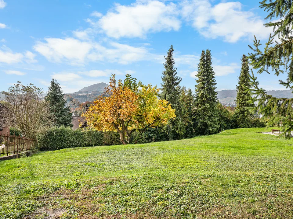 Representative Villa 35 Min. from Zurich – photo 10 of 10