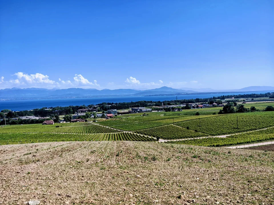A-ONE BUSINESS CENTER | Exceptional offices in the heart of the Léman arc – photo 7 of 8