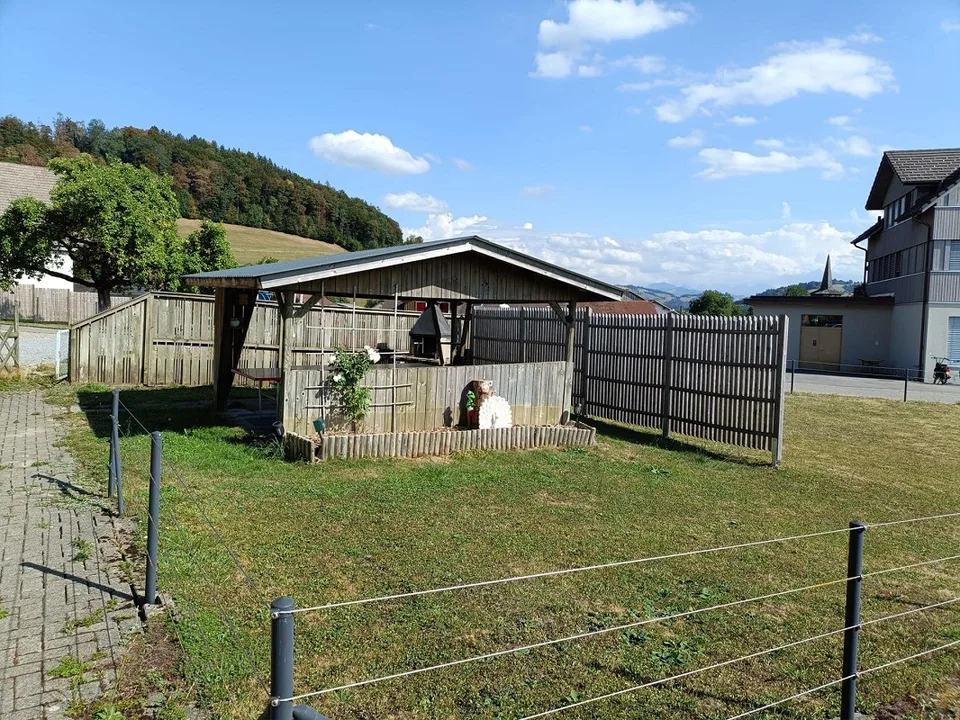 Wohnung – Foto 2 von 12