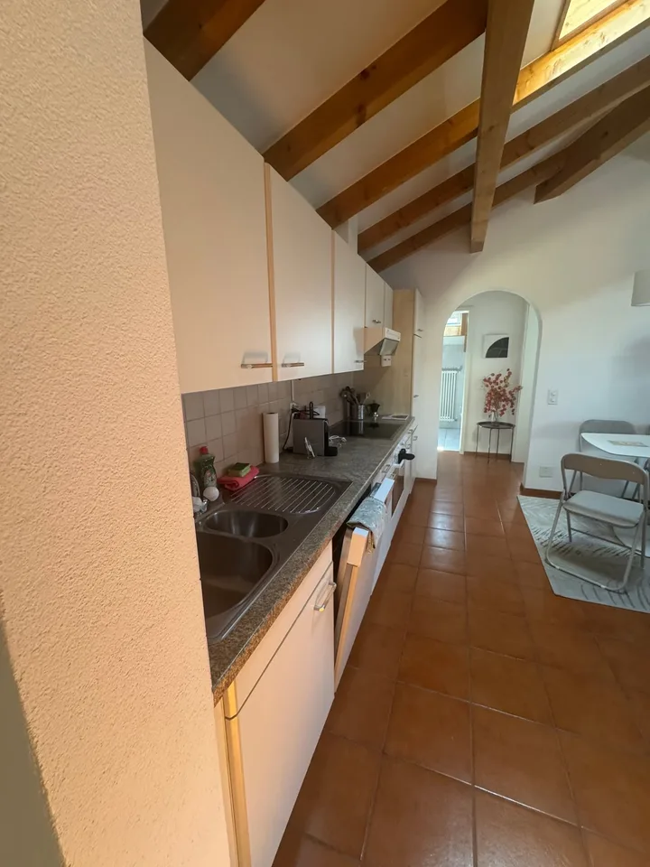 Möblierte Wohnung mit Panoramablick in Ascona – Foto 8 von 12