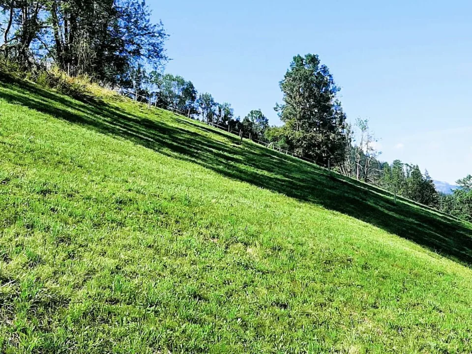 Parcelle de construction en pente à Zweisimmen BE – photo 3 sur 9