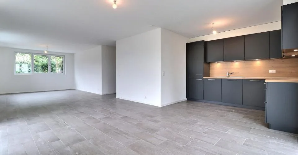 Spacieux 4.5 pièces à louer ! – photo 3 sur 10