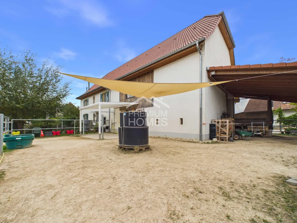 Wo sich Ihre Pferde so wohl fühlen wie Sie – Foto 13 von 13