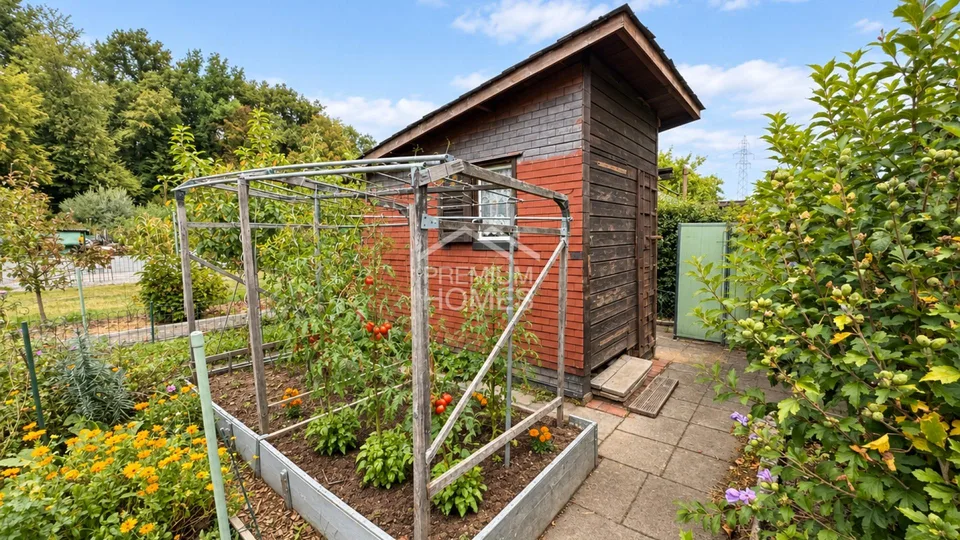 2 Zimmer Einfamilienhaus in Oberwil BL – Foto 4 von 6