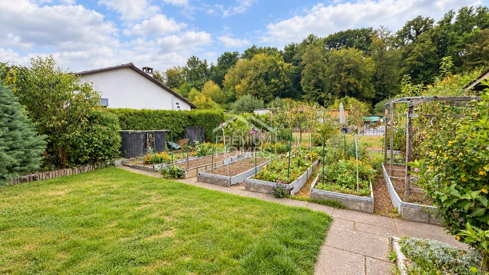 2 Zimmer Einfamilienhaus in Oberwil BL – Foto 3 von 6