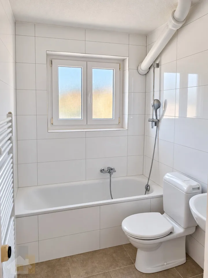 Appartement rénové avec deux balcons inclus parking – photo 4 sur 9