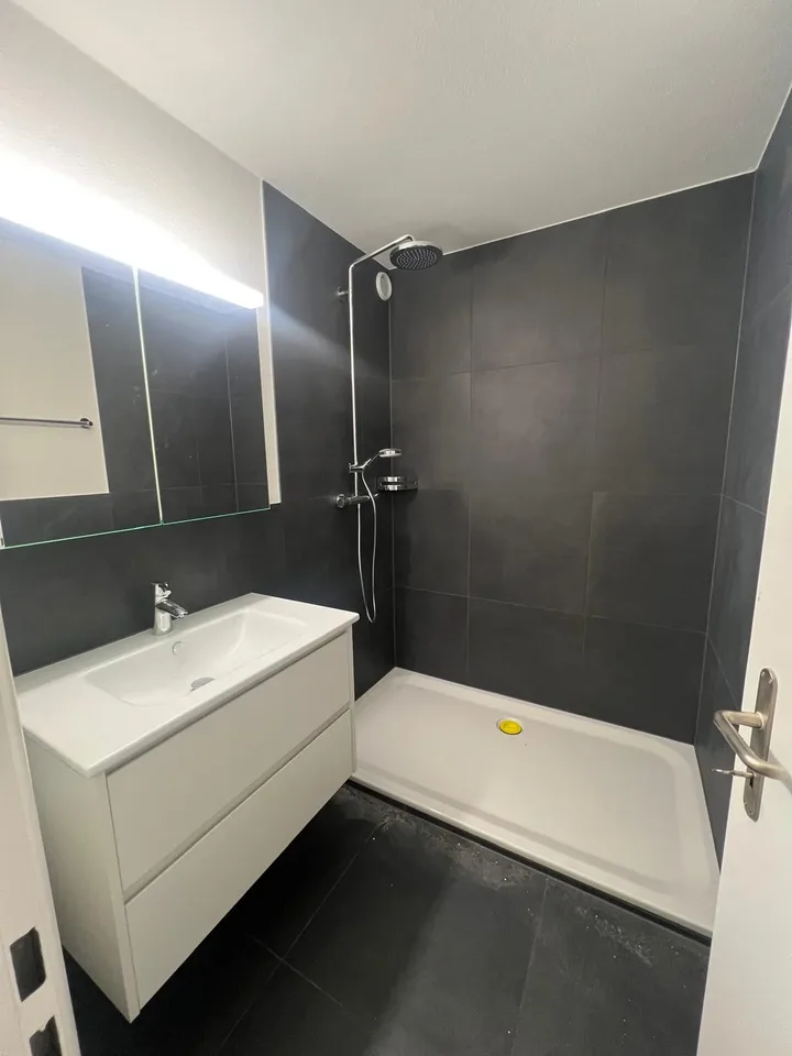 Appartement 3.5 pièces entièrement rénové et charmant à louer – photo 3 sur 6