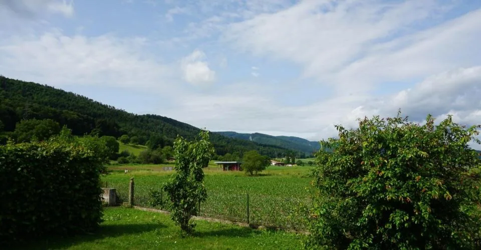 ARI-236 - Bellissima casa con 2 appartamenti di 4,5 e 3,5 stanze su un terreno di 1'134 m2. – foto 5 di 13