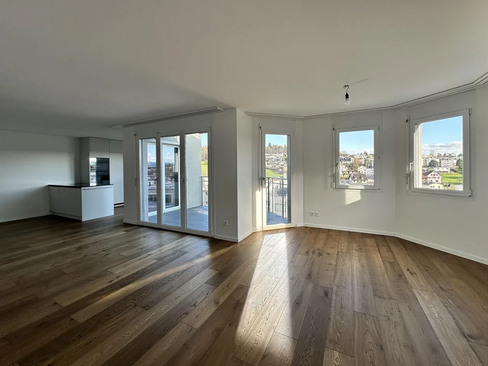 Appartamenti attici di 4,5 stanze con grande terrazza, ristrutturati con ascensore – foto 19 di 29