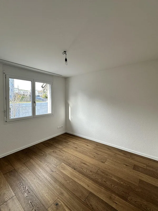 Appartamenti attici di 4,5 stanze con grande terrazza, ristrutturati con ascensore – foto 21 di 29