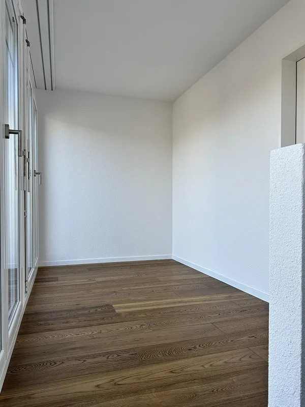 Appartamenti attici di 4,5 stanze con grande terrazza, ristrutturati con ascensore – foto 27 di 29