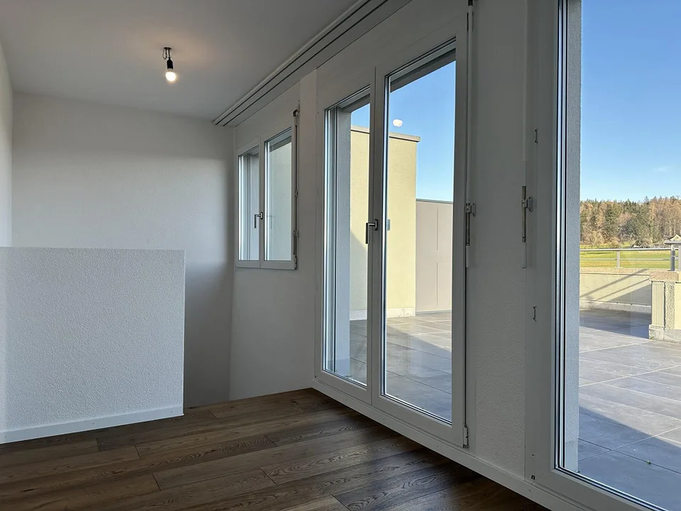Appartamenti attici di 4,5 stanze con grande terrazza, ristrutturati con ascensore – foto 28 di 29