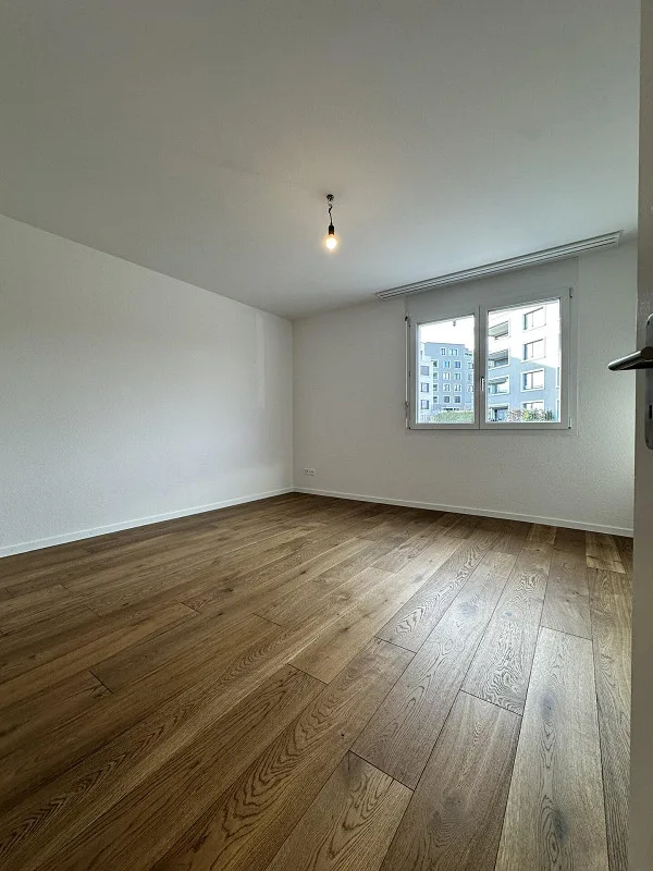 Appartamenti attici di 4,5 stanze con grande terrazza, ristrutturati con ascensore – foto 22 di 29