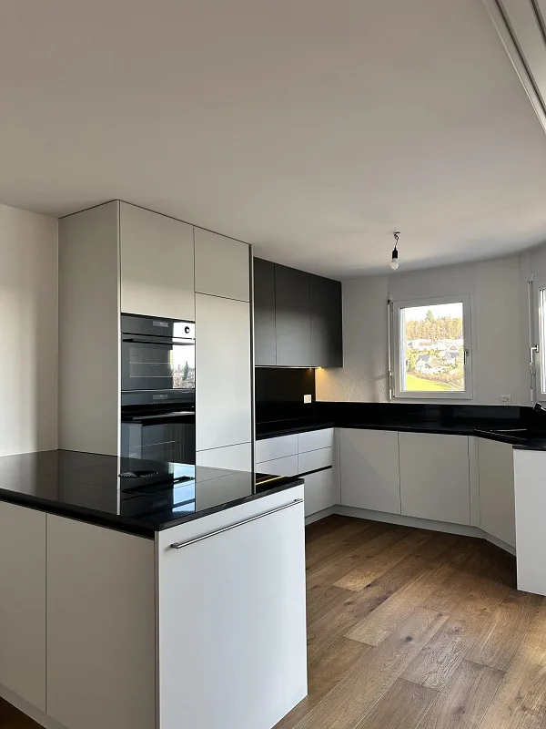 Appartamenti attici di 4,5 stanze con grande terrazza, ristrutturati con ascensore – foto 11 di 29