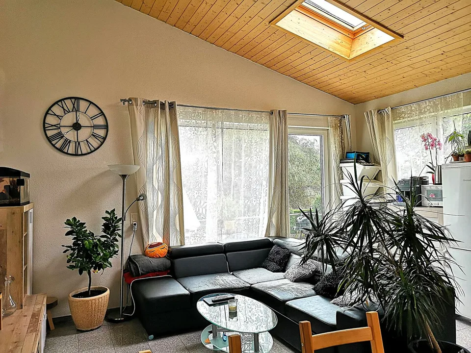 Baisse de prix : maison avec deux appartements loués et un appartement pour le propriétaire – photo 30 sur 30