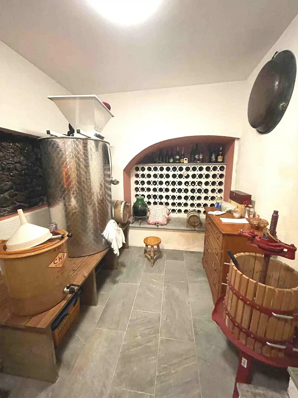 Maison spacieuse sur la colline avec vue panoramique, grand terrain et rustique en pierre – photo 21 sur 21